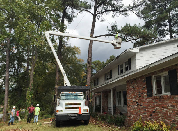 Lawn Irrigation Installation and Maintenance in Thomasville, GA
